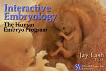 Lash Human Embryology CD