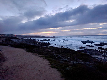 Asilomar State Beach