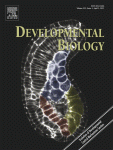 Developmental Biology