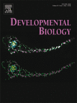 Developmental Biology