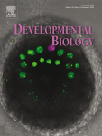 Developmental Biology