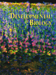 Developmental Biology