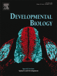 Developmental Biology