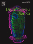 Developmental Biology