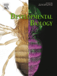 Developmental Biology