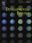 Developmental Biology