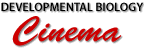 Developmental Biology Cinema